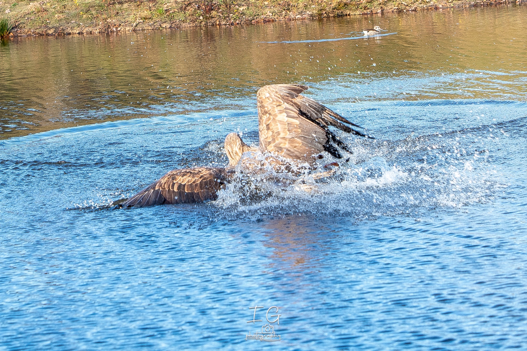 1DX44331 21 november 2021 1420 47